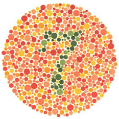 Ishihara test